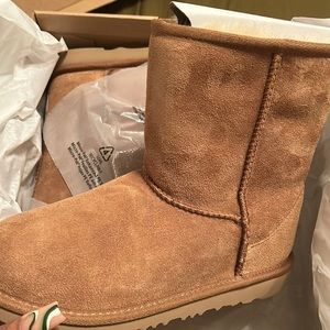 Brand new never worn uggs